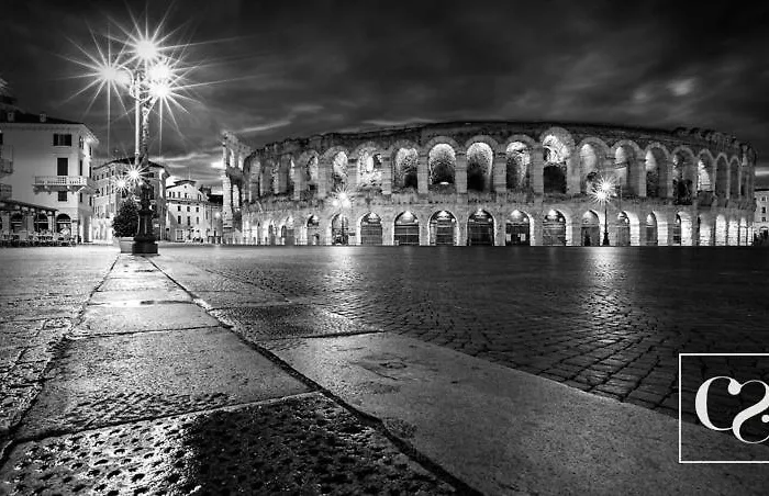 Living Arena
