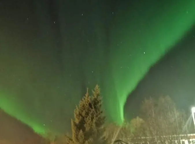 Aurora Rooms In Shared Apartment Nr1 We Are Doing Privet Northen Light Trip, Reindeer Trip And Sommaroy Fjord Trip