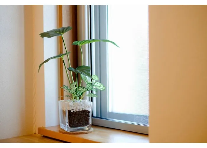 Tottori Guest House Miraie Base - Vacation Stay 41214V