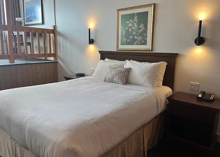Hôtel La Côte Surprise