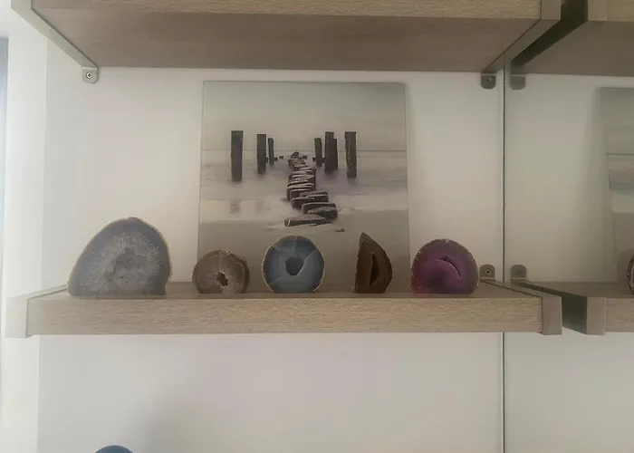 Cocoon Gallery Paris