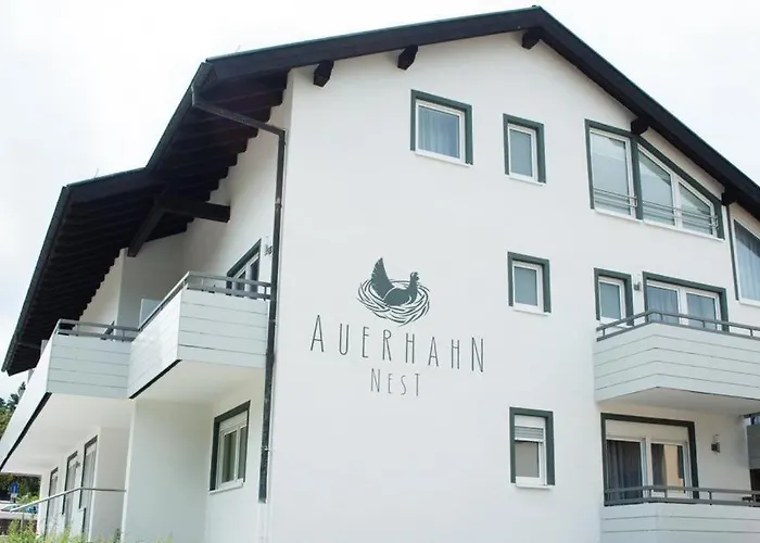 Auerhahn Nest