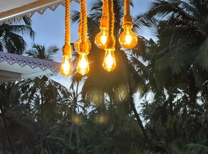 The Oasis Resort