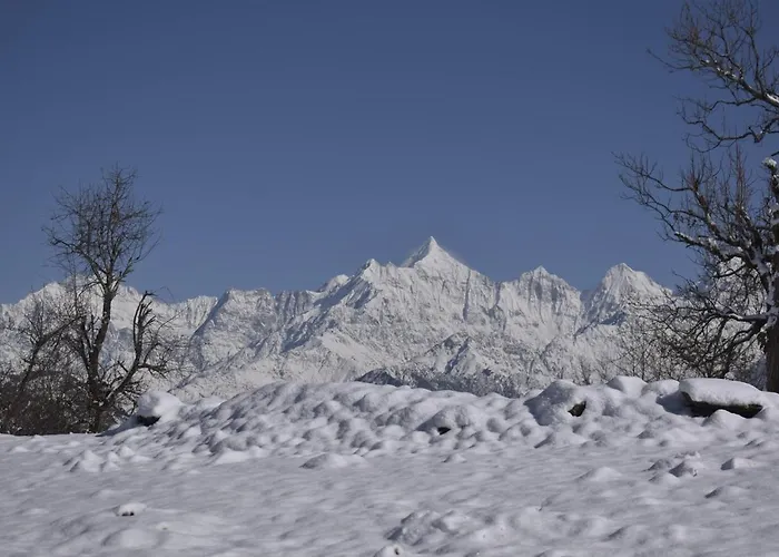 Goroomgo Hotel Shri Ganga Mount View Munsyari