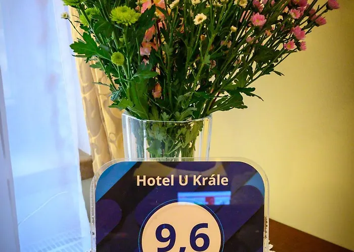 Hotel U Krále