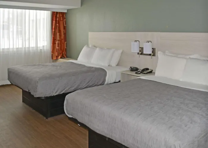 Quality Inn & Suites Syracuse - Carrier Circle