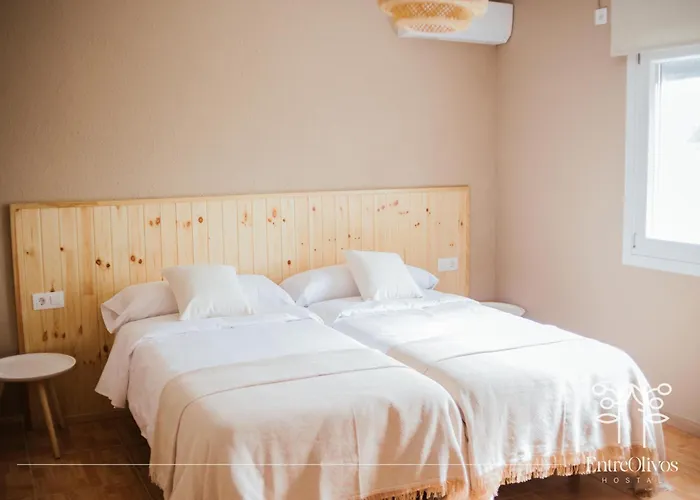 Hostal Entreolivos