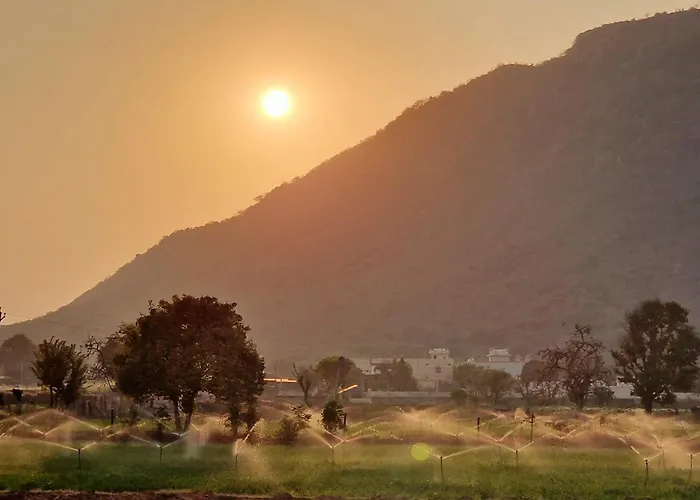 Hotel Divine Palace Pushkar