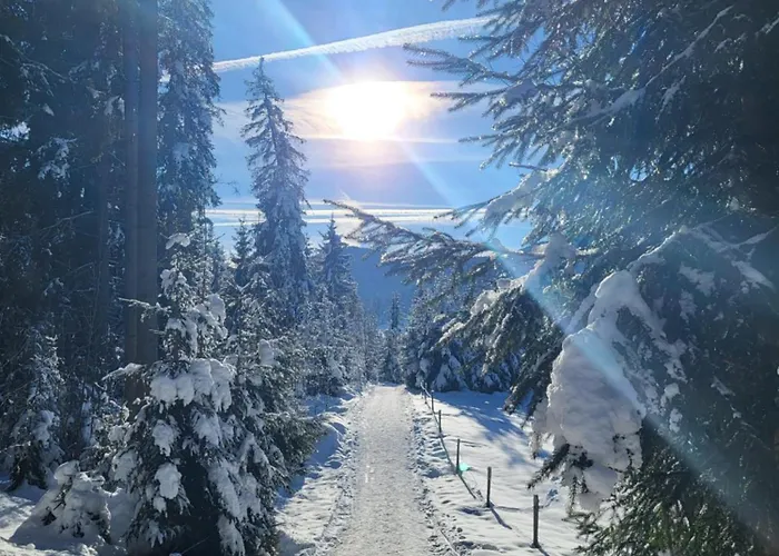 Pension Laerchenbrunn