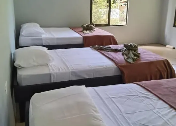 Cabinas Corcovado Green Parrot, Los Planes Drake