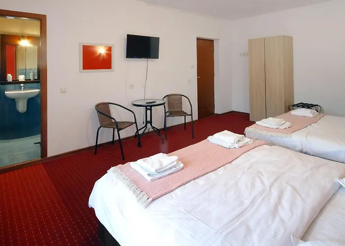 Pensiunea Montan Din Bran,Sat Simon Spa Indoor