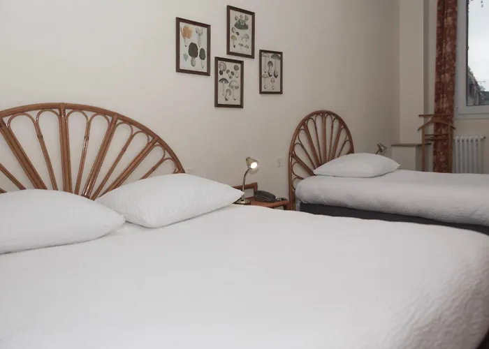 Cit'Hotel Aéro-Hotel
