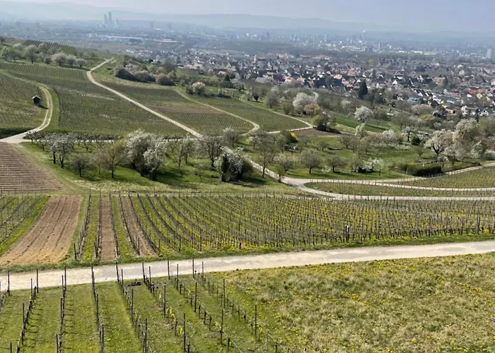 Landgasthof Rebstock Weil Am Rhein / Basel