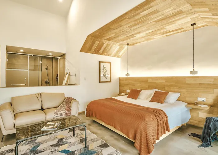 Moganshan Spring Mountain View B&B