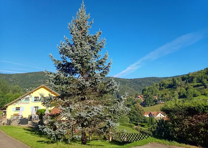 Les Sapins Bed and Breakfast Bussang