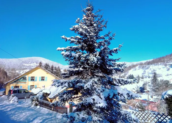 Les Sapins Bed and Breakfast Bussang