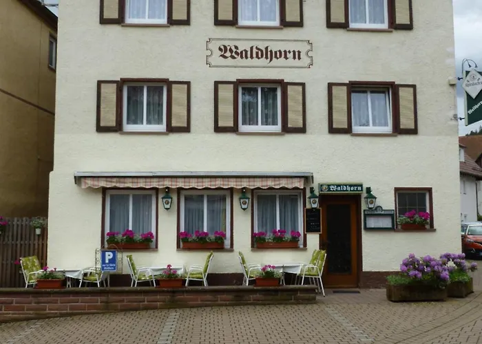 Gasthaus Waldhorn