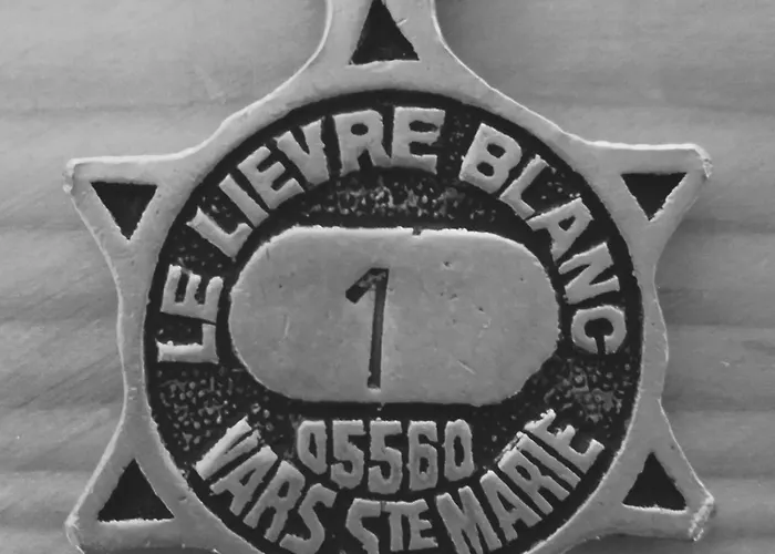 Hôtel Le Lievre Blanc