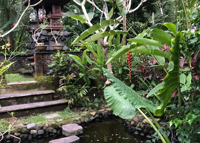 Rumah Kelapa Senang