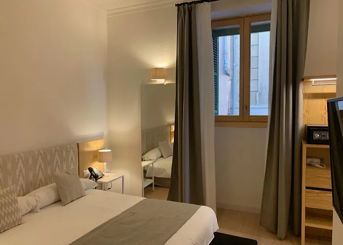 Sóller Center