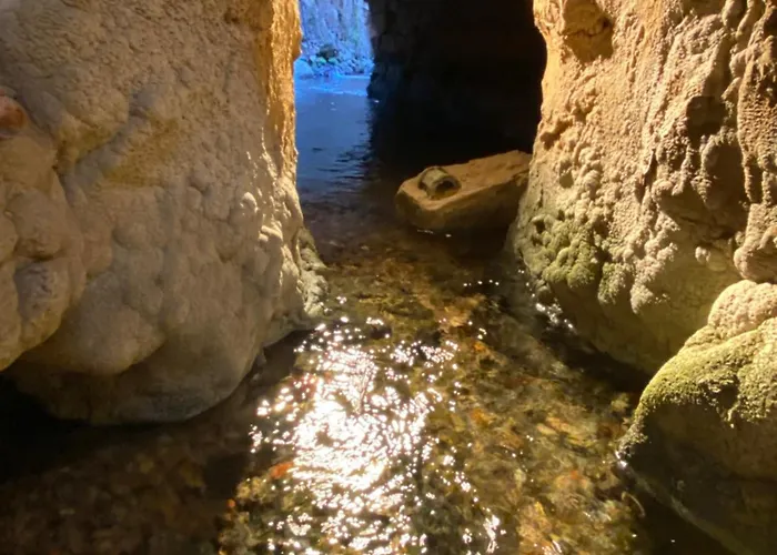 Caserón De La Fuente