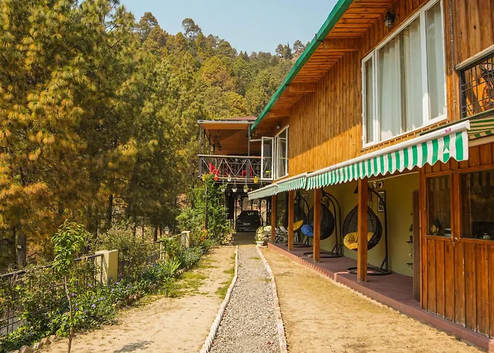 Thehimalayanliving Whistling Pines