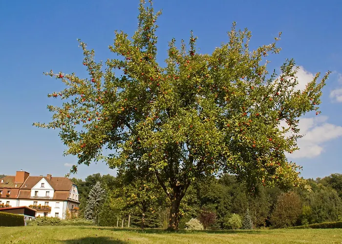 Hotel Jägerhof Staatsbad Brückenau