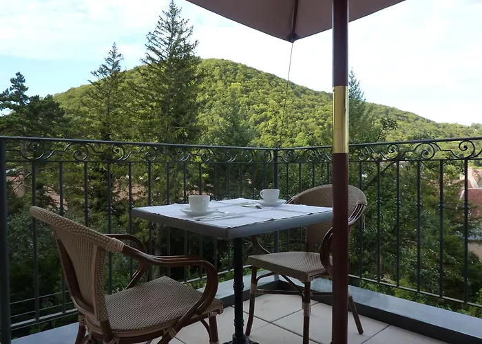 Hôtel Restaurant Spa Le Sauvage