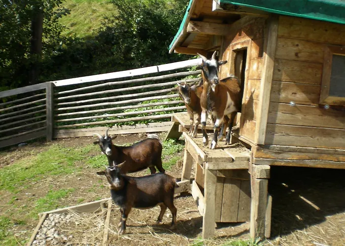 Jugend- Und Familienhotel Venedigerhof