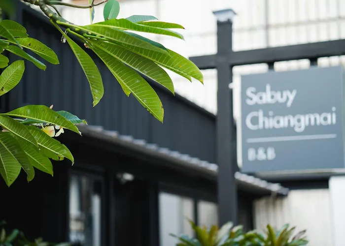 Sabuy Chiangmai