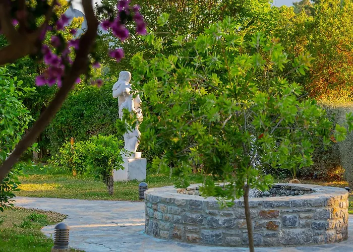 Kairos Valley Wellness & Longevity