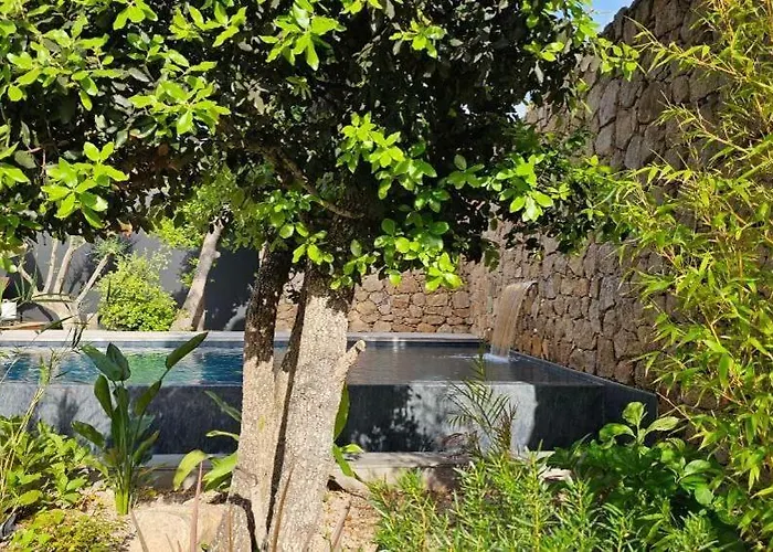 Les Suites Du Maquis