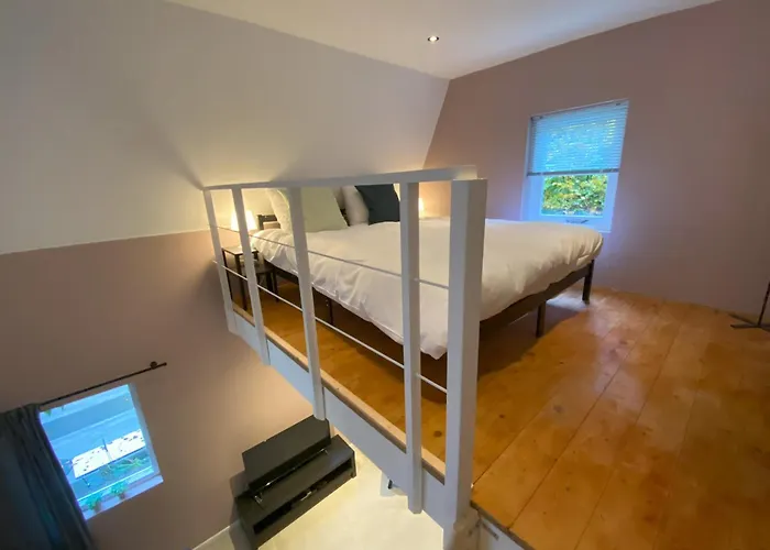B&B In de aap gelogeerd