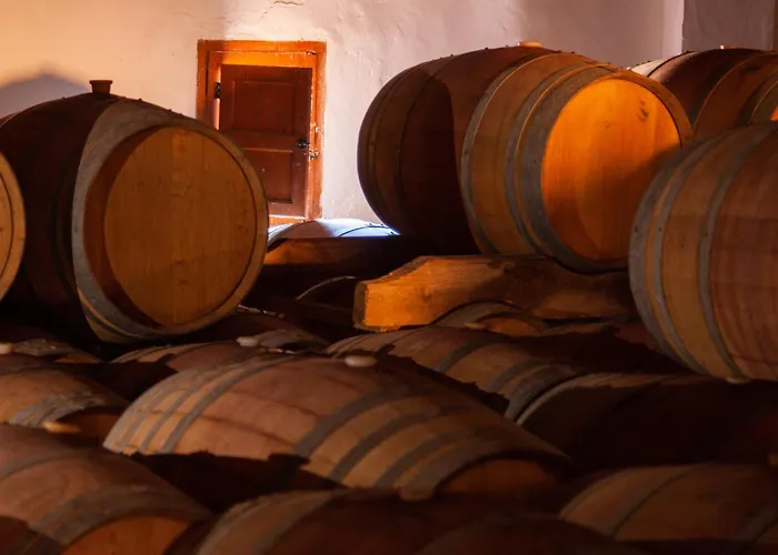 Hotel Bodega Vera De Estenas