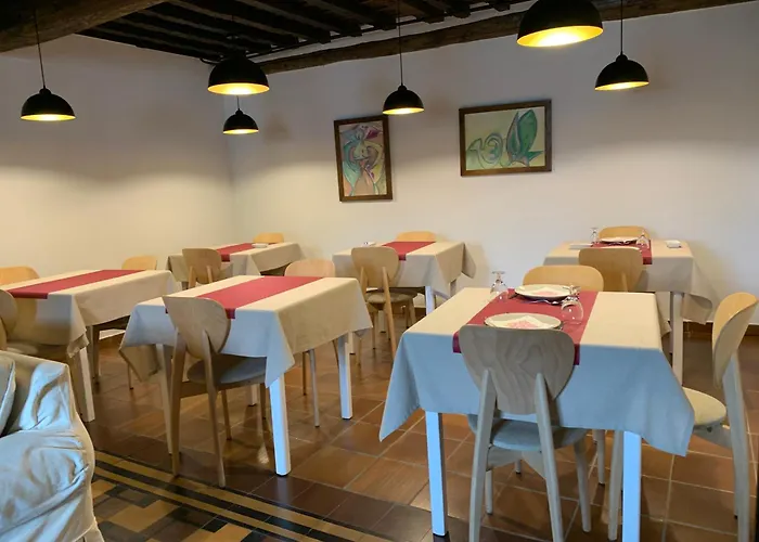 El Jardín del Laurel - only adults -