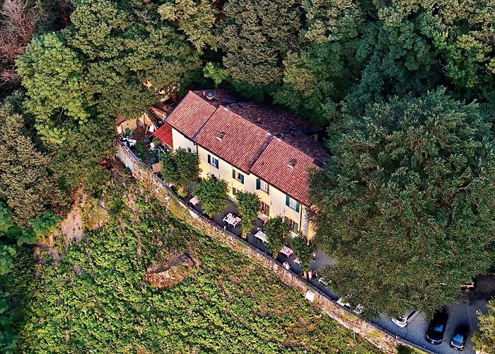 Ristorante Hotel Falchetto