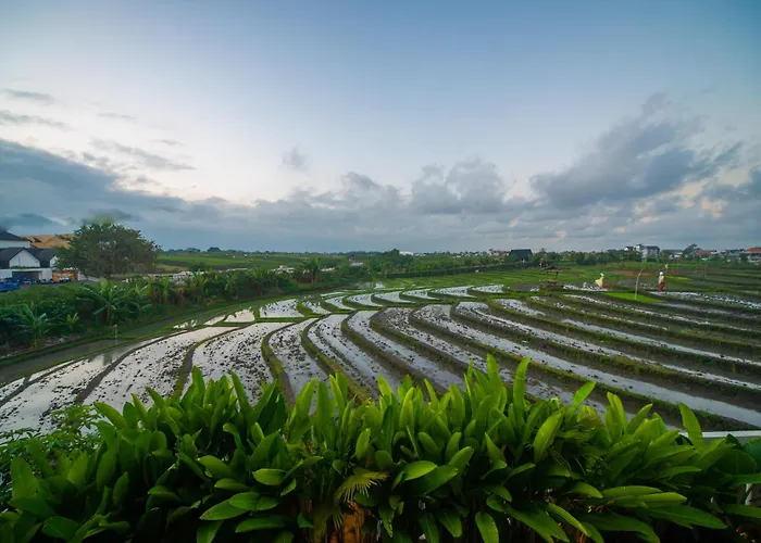 Alvana Villa Canggu