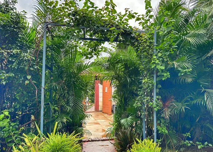 White Truffle Resort, Arambol