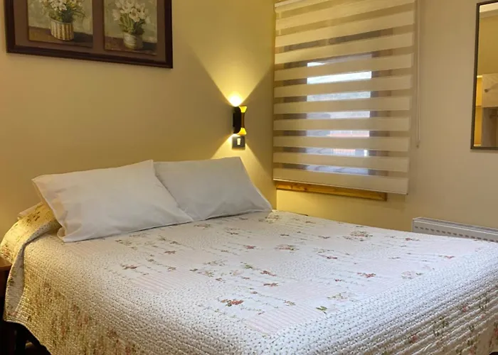 Hostal Graciela Pucon