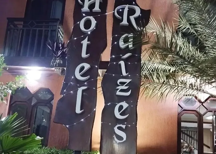Hotel Raizes