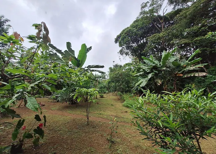 Cabinas Corcovado Green Parrot, Los Planes Drake