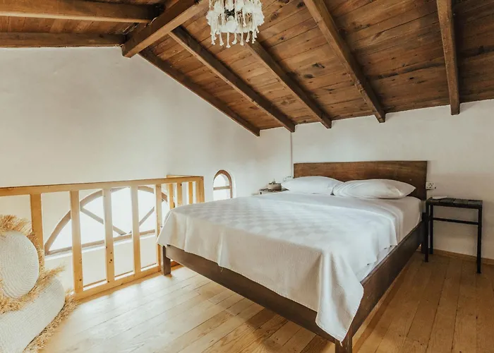 Eski Yeni Tatil Evi Olympos