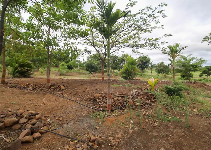 Hotel Ekant Tourist Resort Aka Ekaant Farms