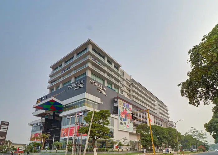 Saltstayz Trinity - Chandigarh Mohali
