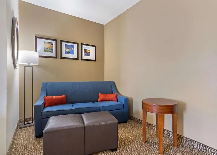 Comfort Suites Old Town Spring
