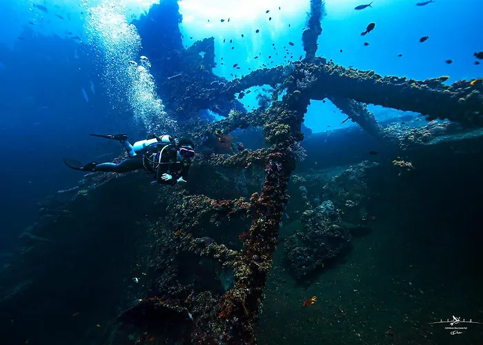 Dive & Dwell Tulamben