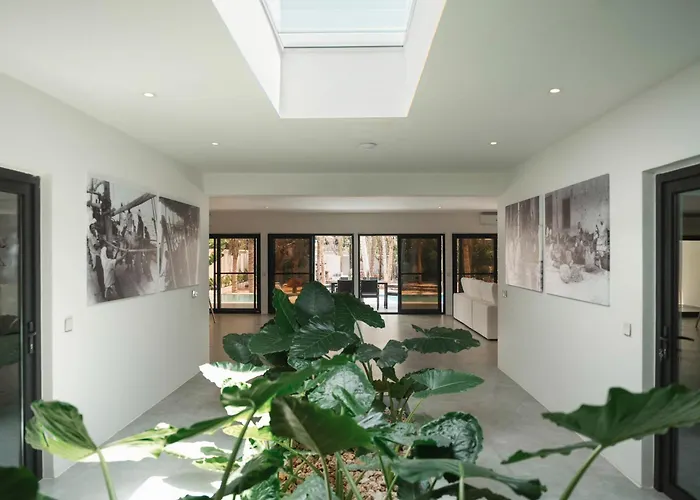 The Oasis Residence