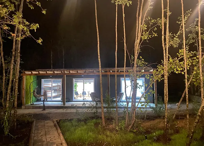 Hotel Boker Tov Pucón