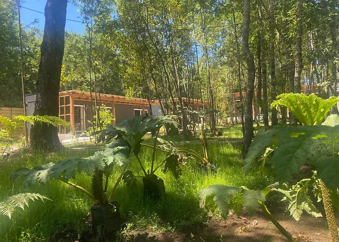 Hotel Boker Tov Pucón