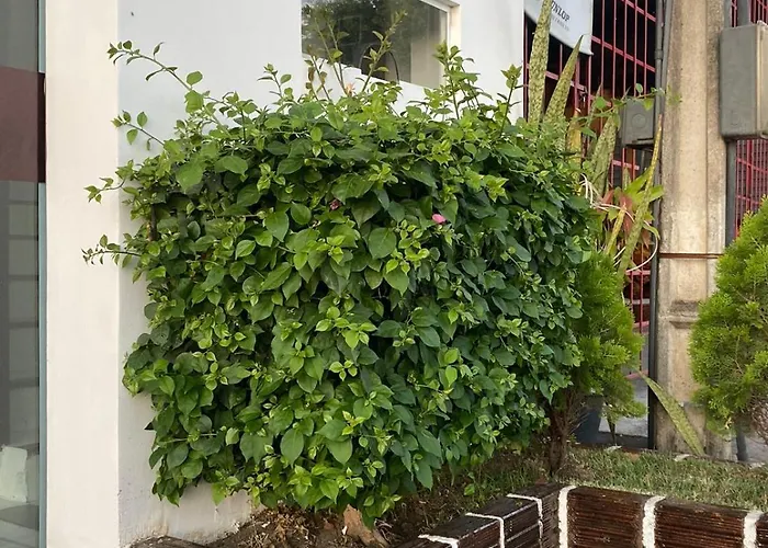 Hotel Boi na Brasa